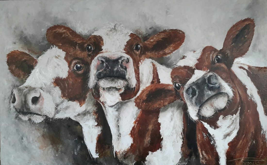 "Cow Curious" 100×160 sold Belgium